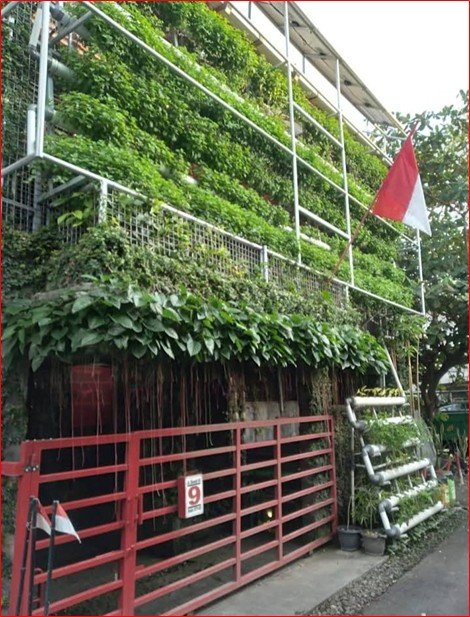 Rumah MAPAN (Mandiri Pangan dan Energi)